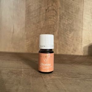 5ml Ocotea essential oil